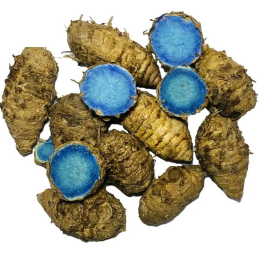 RARE Authentic Bhutan Black Turmeric (Curcuma aeruginosa) – Premium Organic Roots, Medicinal & Culinary Grade.