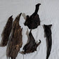 Bhutan’s Rare Himalayan Agarwood Oud: Premium Chips & Resin for Luxury Fragrance with Export License