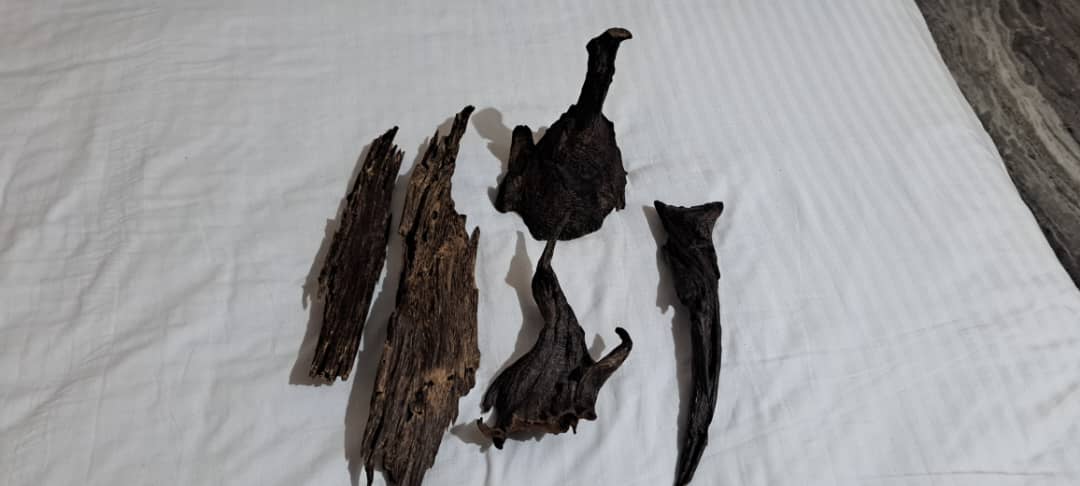 Bhutan’s Rare Himalayan Agarwood Oud: Premium Chips & Resin for Luxury Fragrance with Export License