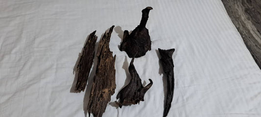 Bhutan’s Rare Himalayan Agarwood Oud: Premium Chips & Resin for Luxury Fragrance with Export License