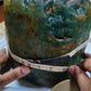 12kg Natural Emerald Stone: A Once-in-a-Lifetime Auction of Earth’s Rarest Treasure