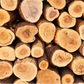 Government-Certified Premium Indian White Sandalwood Lot