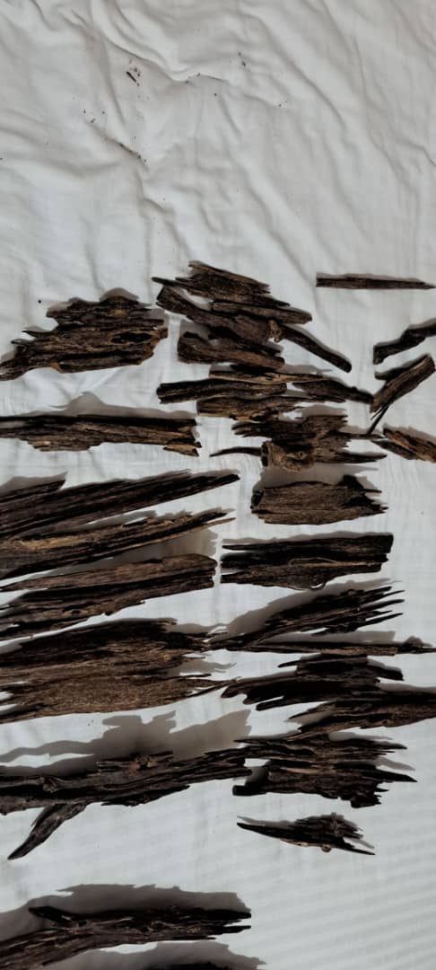 Bhutan’s Rare Himalayan Agarwood Oud: Premium Chips & Resin for Luxury Fragrance with Export License