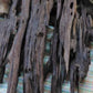 Bhutan’s Rare Himalayan Agarwood Oud: Premium Chips & Resin for Luxury Fragrance with Export License