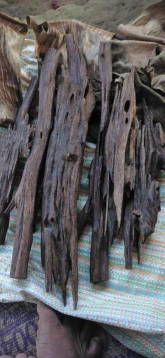 Bhutan’s Rare Himalayan Agarwood Oud: Premium Chips & Resin for Luxury Fragrance with Export License